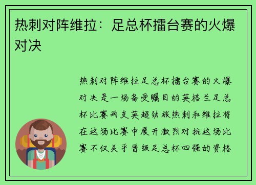 热刺对阵维拉：足总杯擂台赛的火爆对决